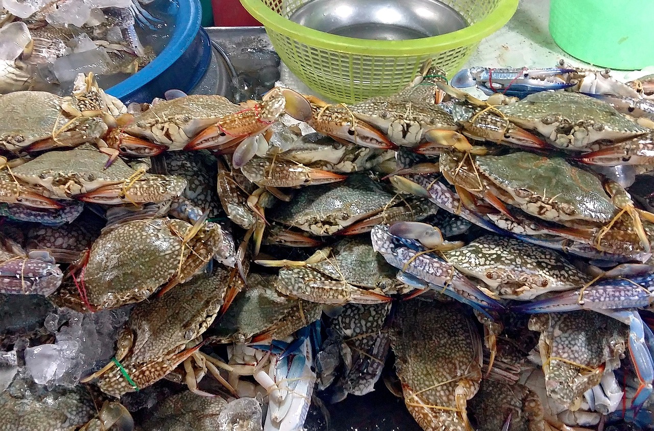 青田景区美食攻略路线