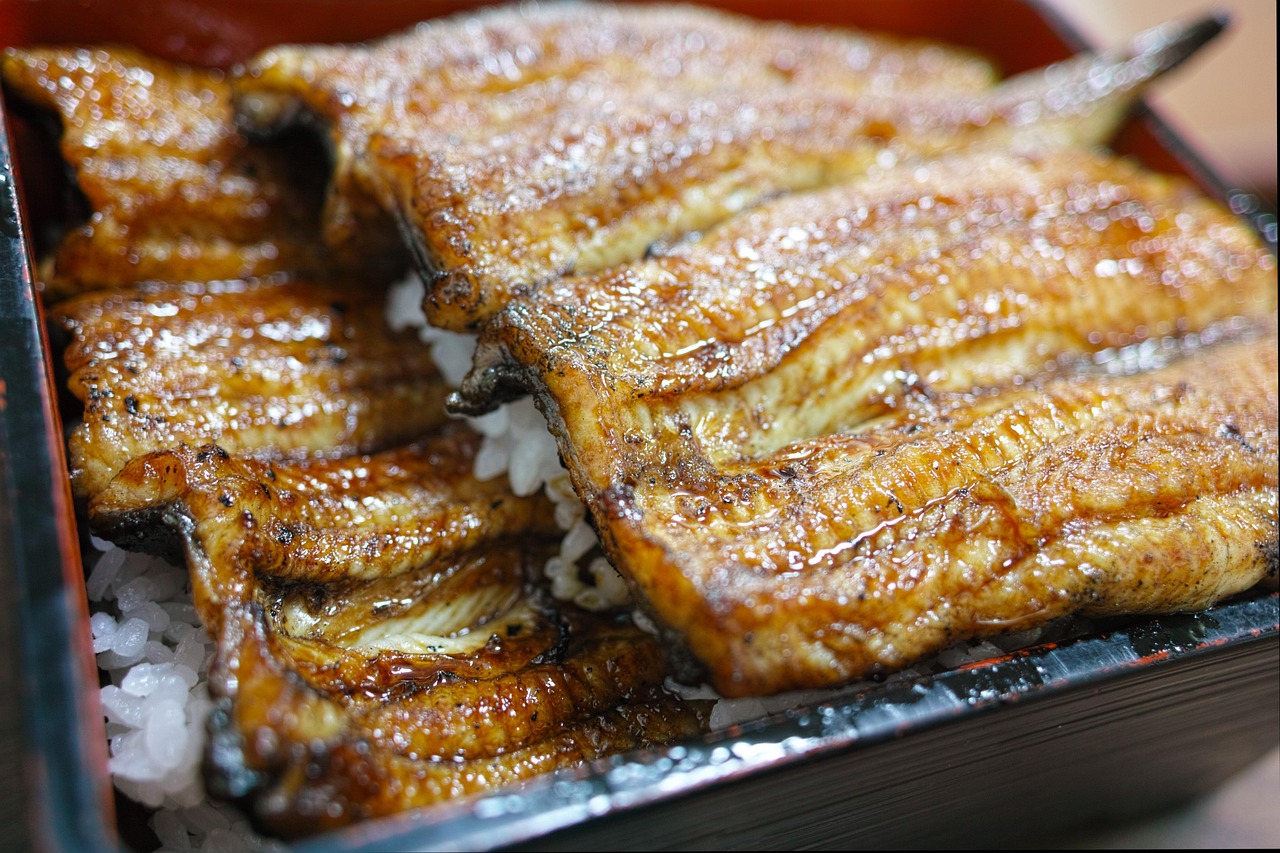 探索日本街头美食，一段视觉与味觉的盛宴